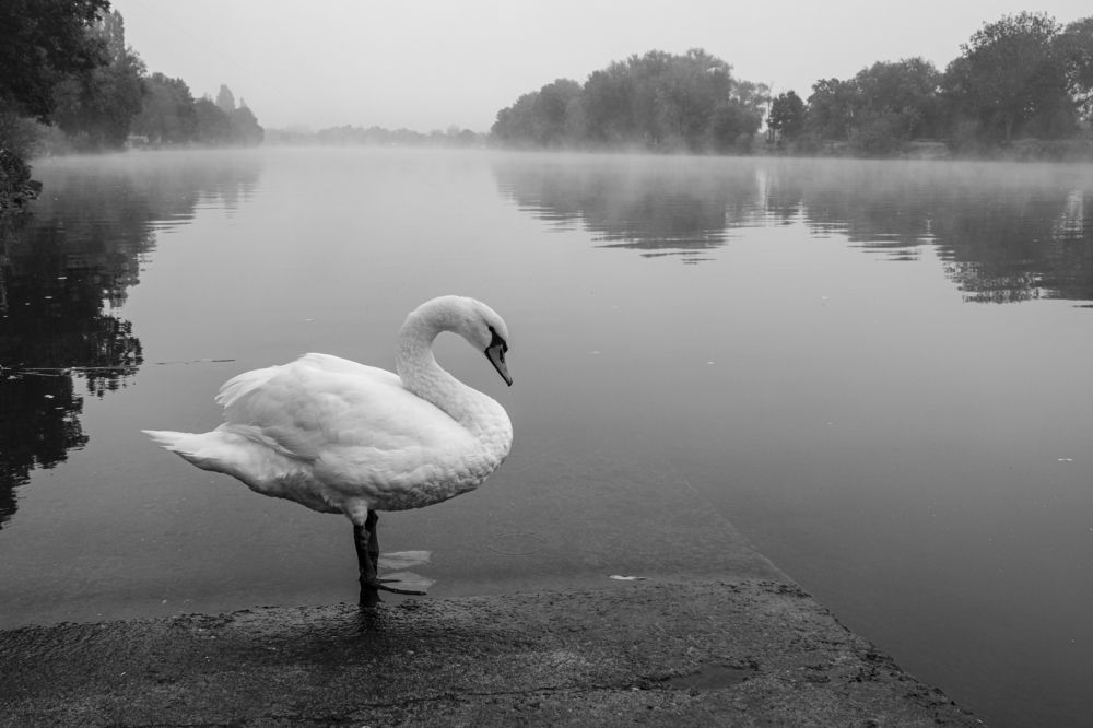 Фотография автора Sérgio Bruno Brandão