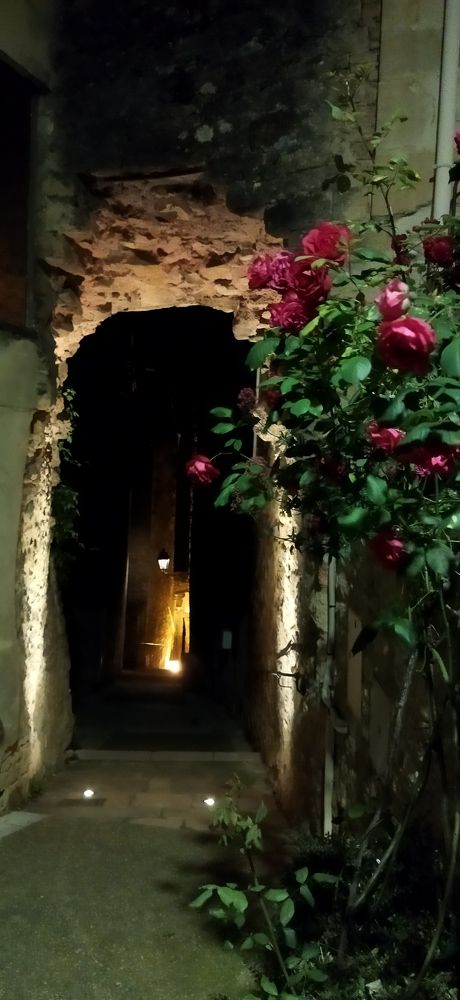 Фотография автора Ариадна Ланно