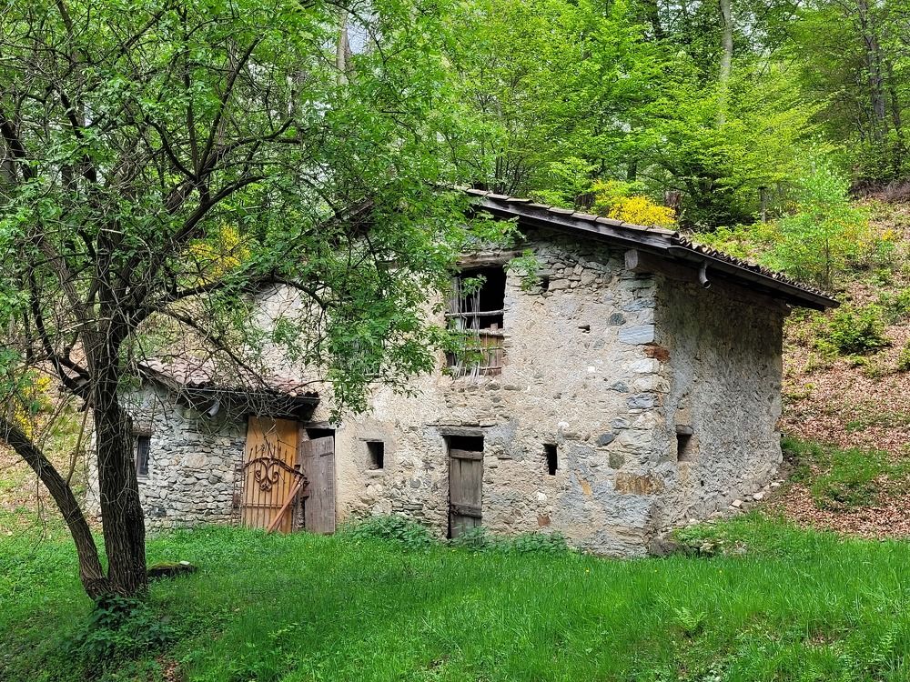 Photograph by Catherine