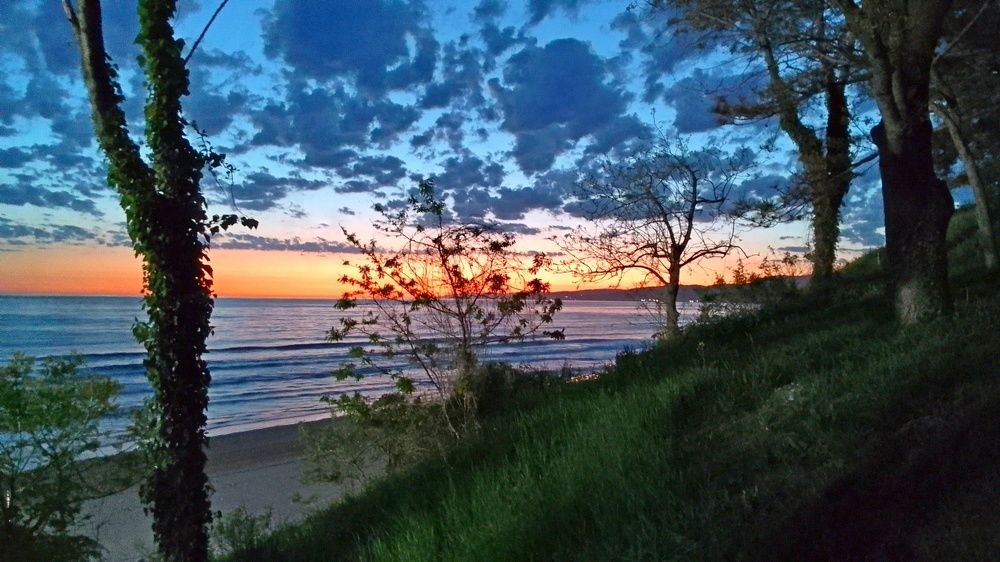 Photograph by Сергей Смоленцев