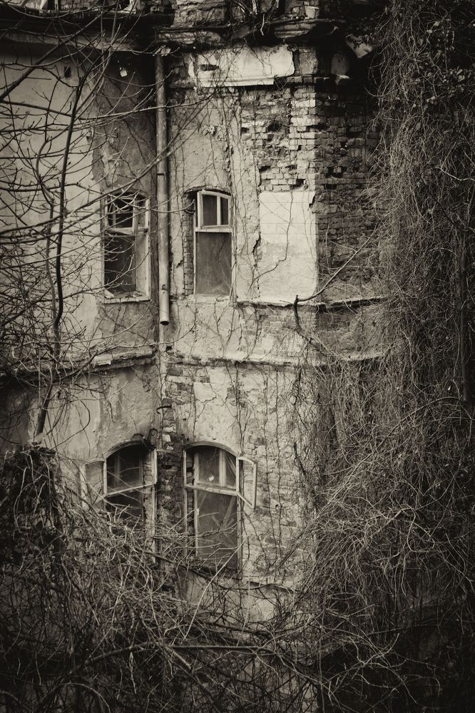 Photograph by Narcis Aurel Mursă