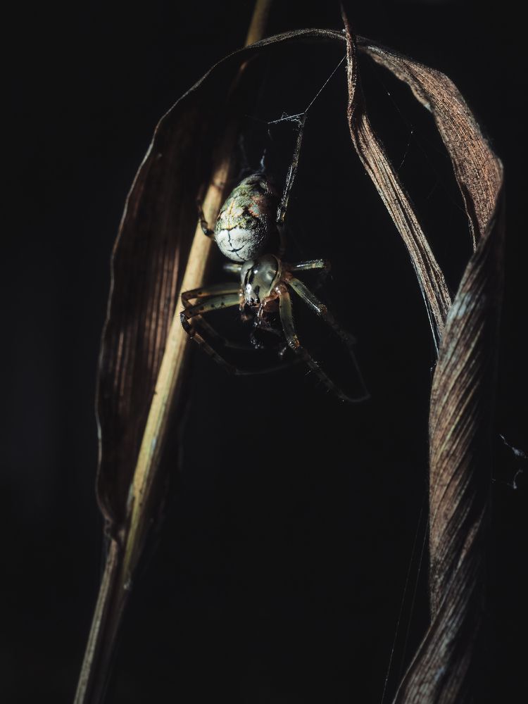 Photograph by Маргарита Смоленская