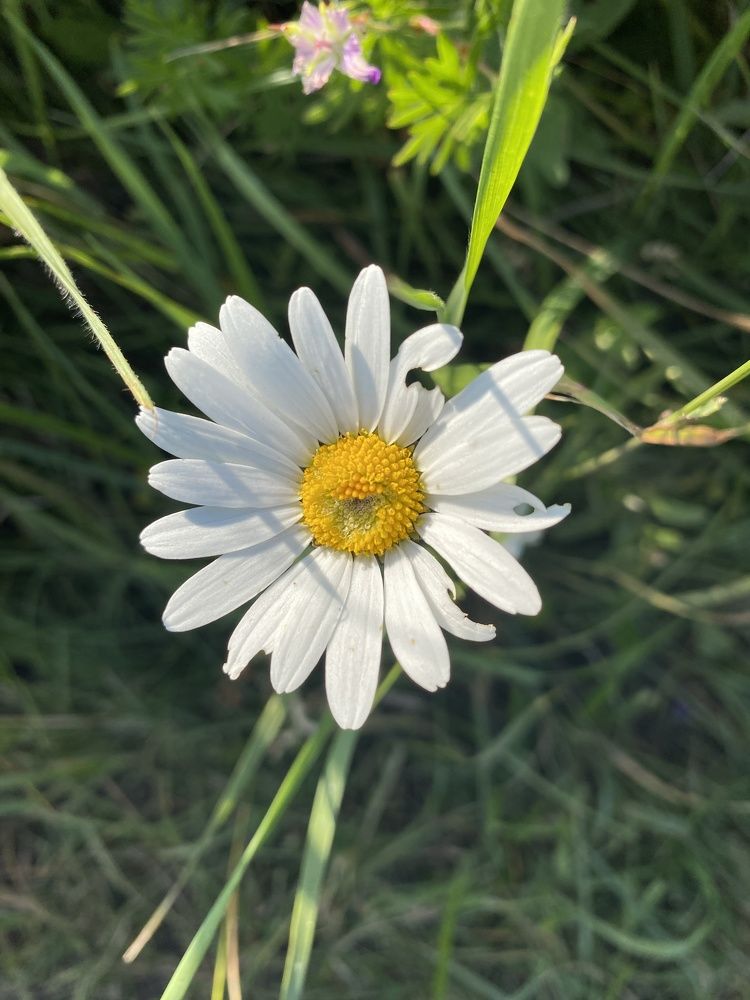 Photograph by Виктория Куликова