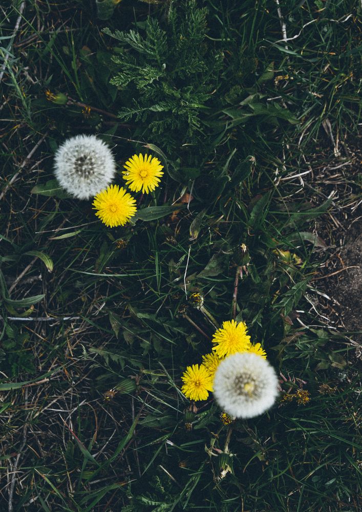 Photograph by Виктория Куликова