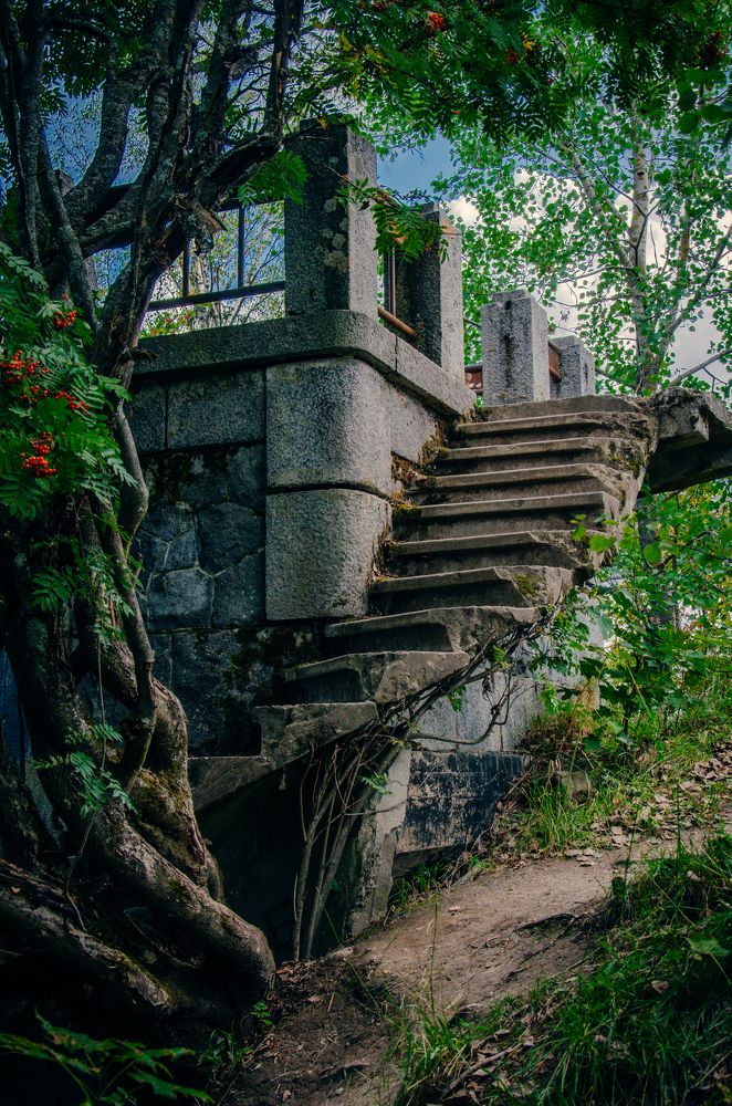 Фотография автора Lyudmila Yakovleva