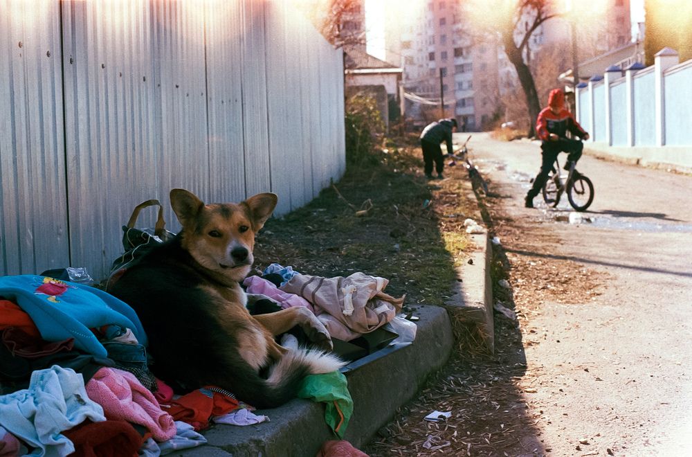 Photograph by Сергей Макуха
