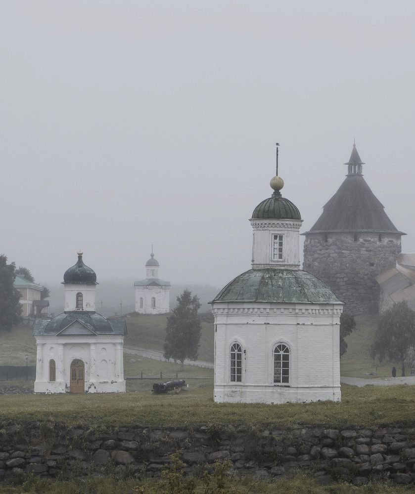 Фотография автора Анна Полищук