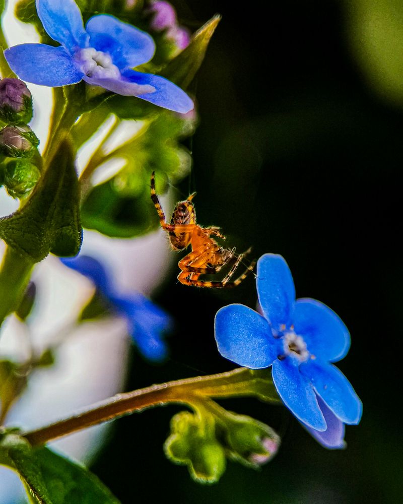 Photograph by Наталья Балабанова