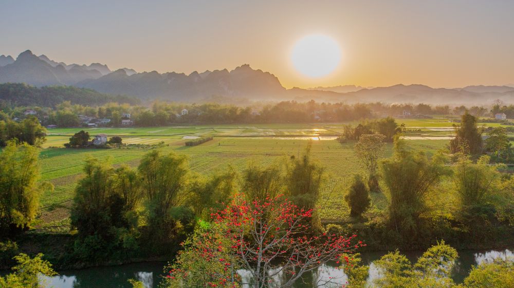 Photograph by Nguyễn Văn Tiệp