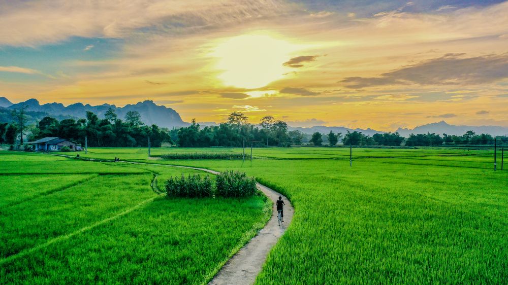 Photograph by Nguyễn Tiệp