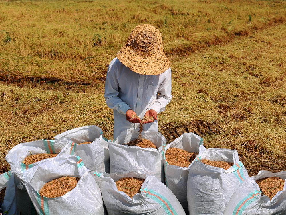 Photograph by Zahra jouri