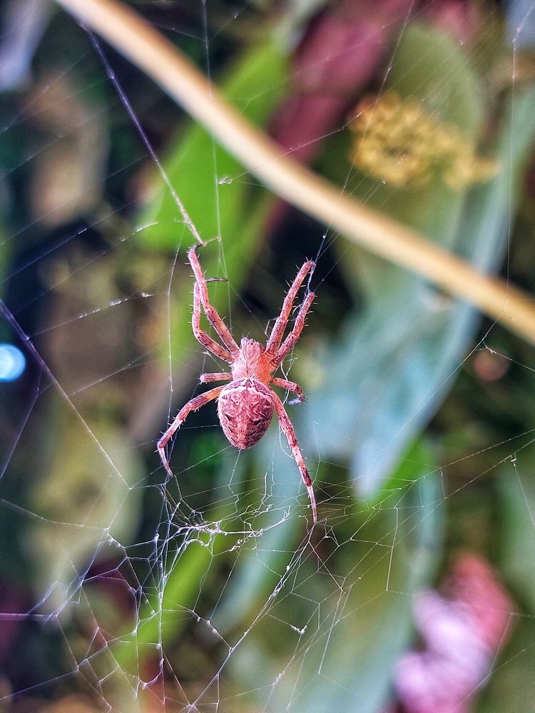 Photograph by Нина Паршина