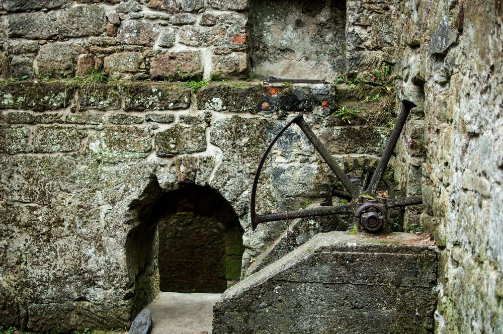 Фотография автора Chorche Prigo