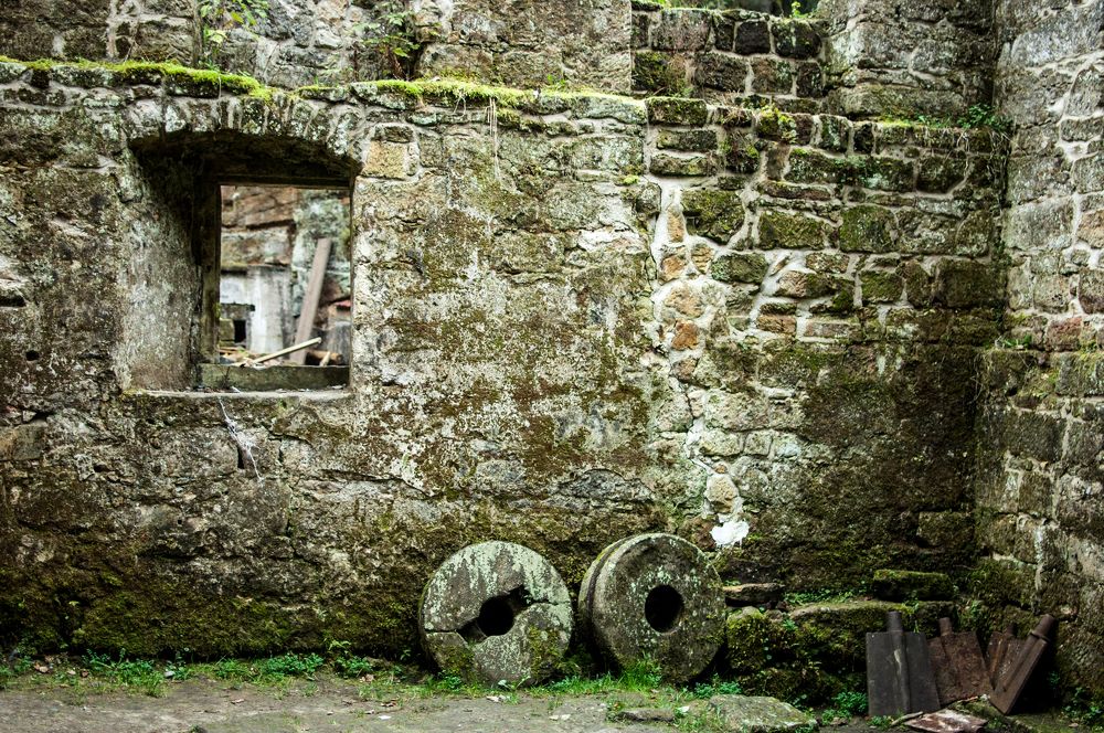 Фотография автора Chorche Prigo