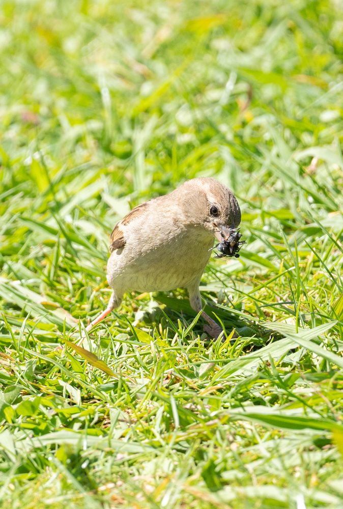 Photograph by David Dores