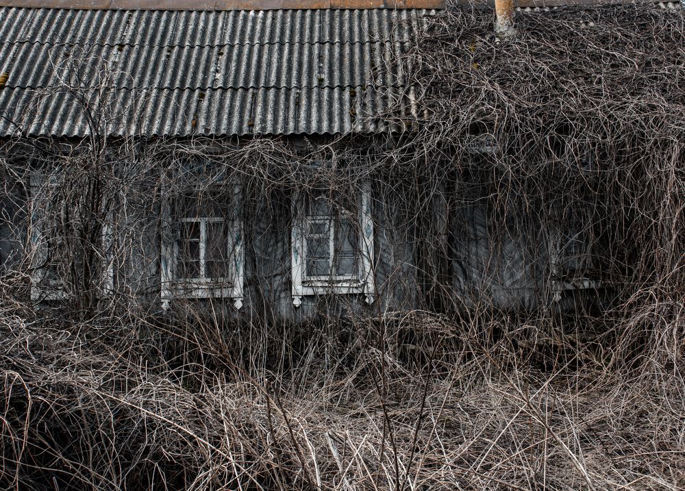 Photograph by Богдан Тарасов