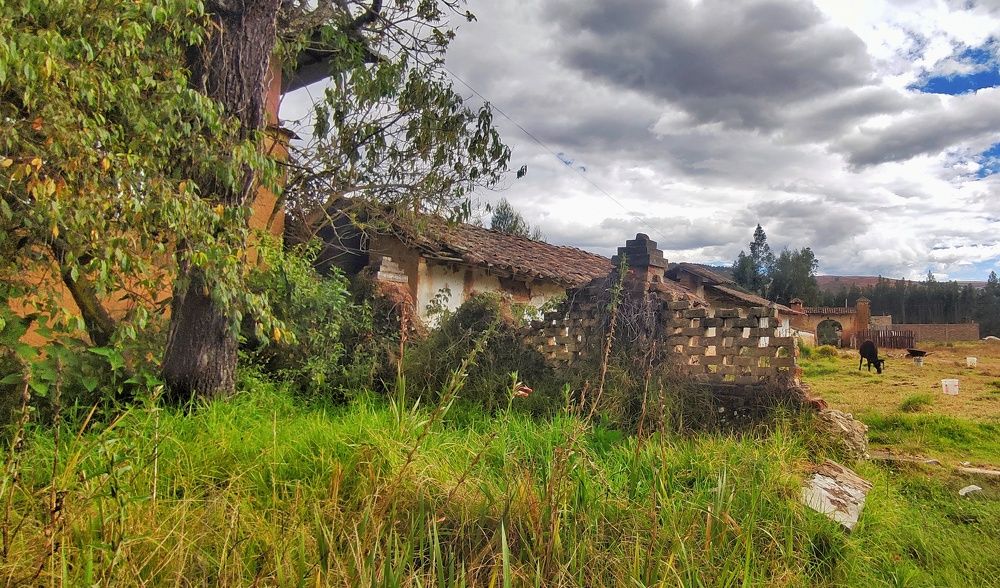 Photograph by Jorge Giol - El Caminante