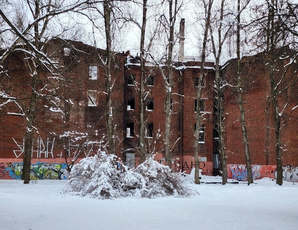 Photograph by Надежда Кудрявцева