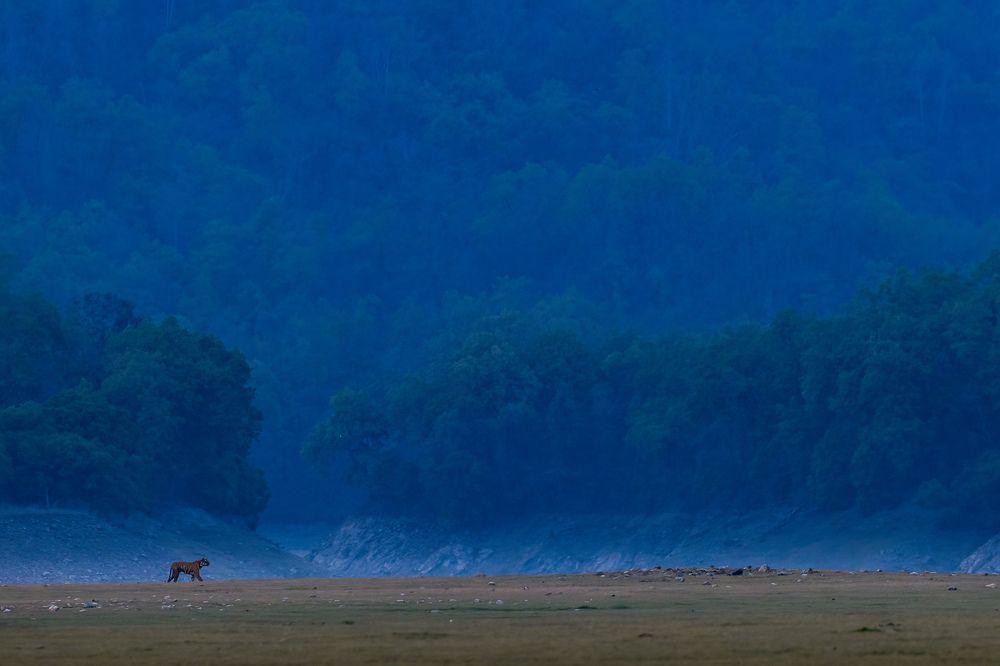 Photograph by Sai Kiran Bhagavatula