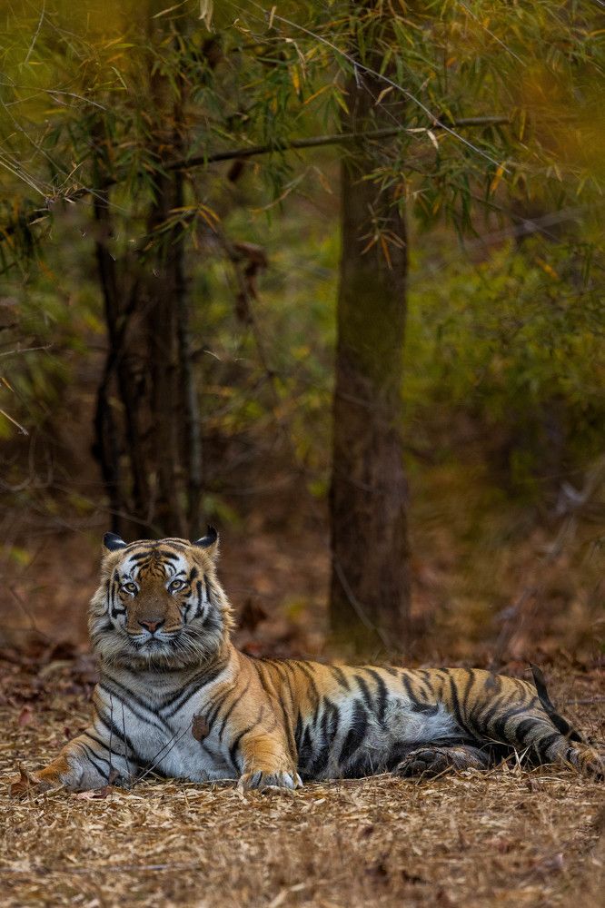 Photograph by Sai Kiran Bhagavatula