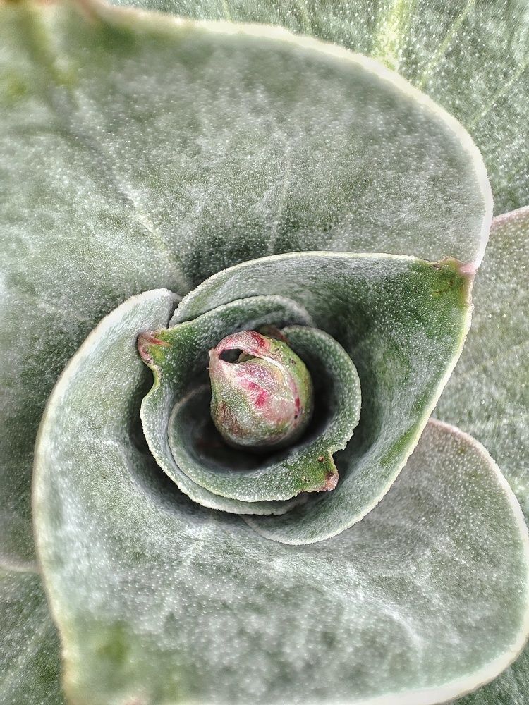 Photograph by Алина Эбель