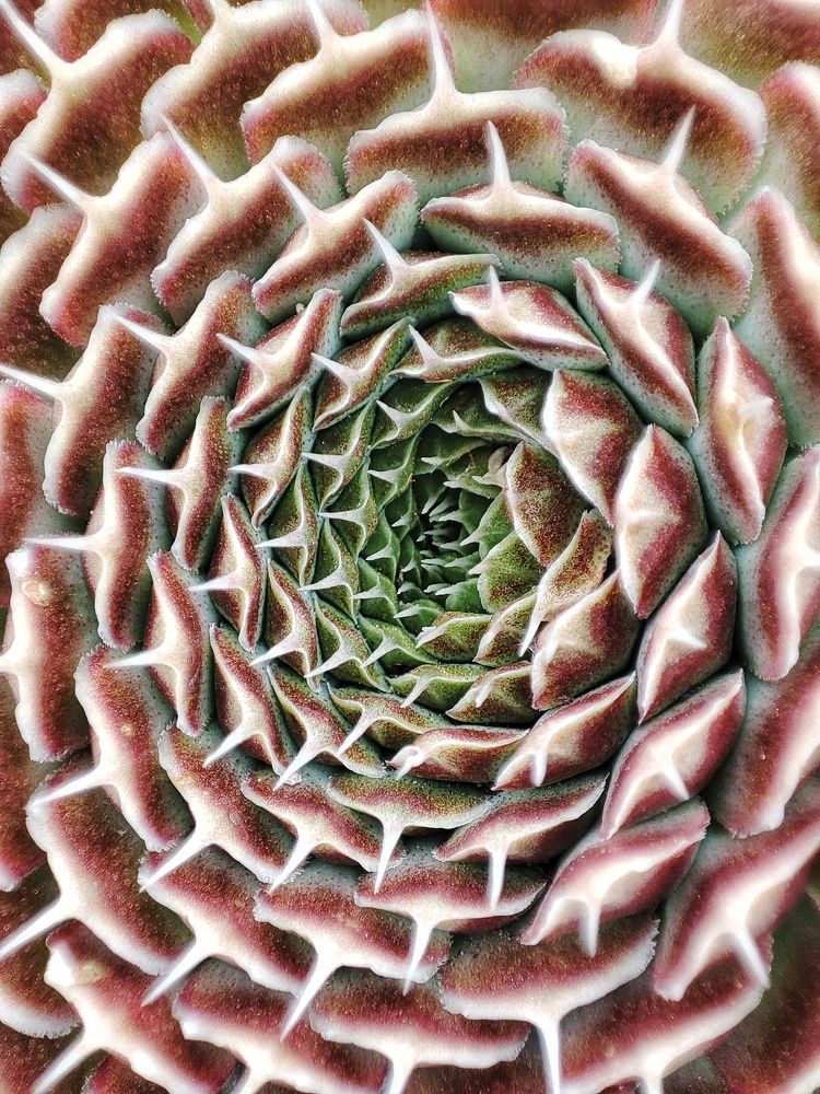 Photograph by Алина Эбель