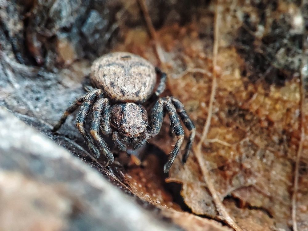 Photograph by Алина Эбель