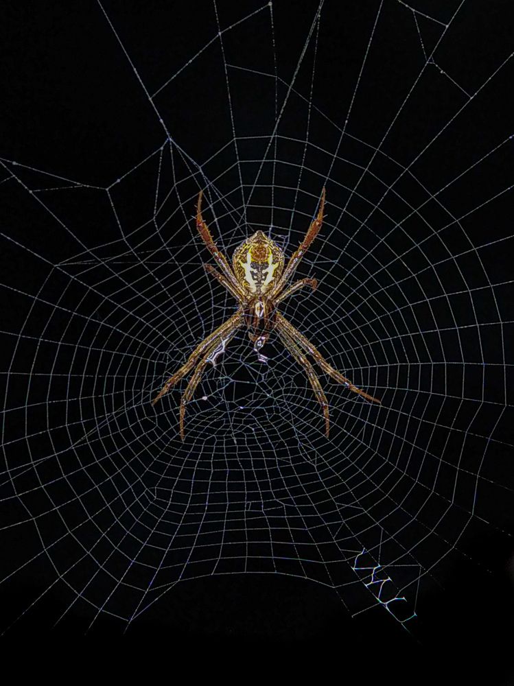 Photograph by Akash Pani