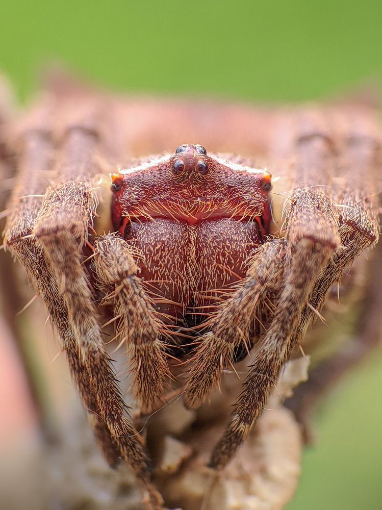 Photograph by Akash Pani