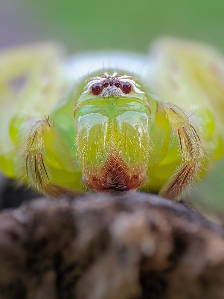 Photograph by Akash Pani