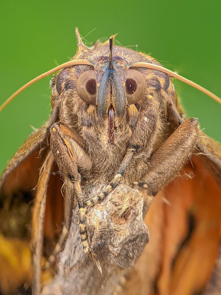 Photograph by Akash Pani