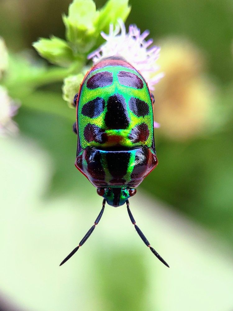 Photograph by Hoài Thanh Đỗ