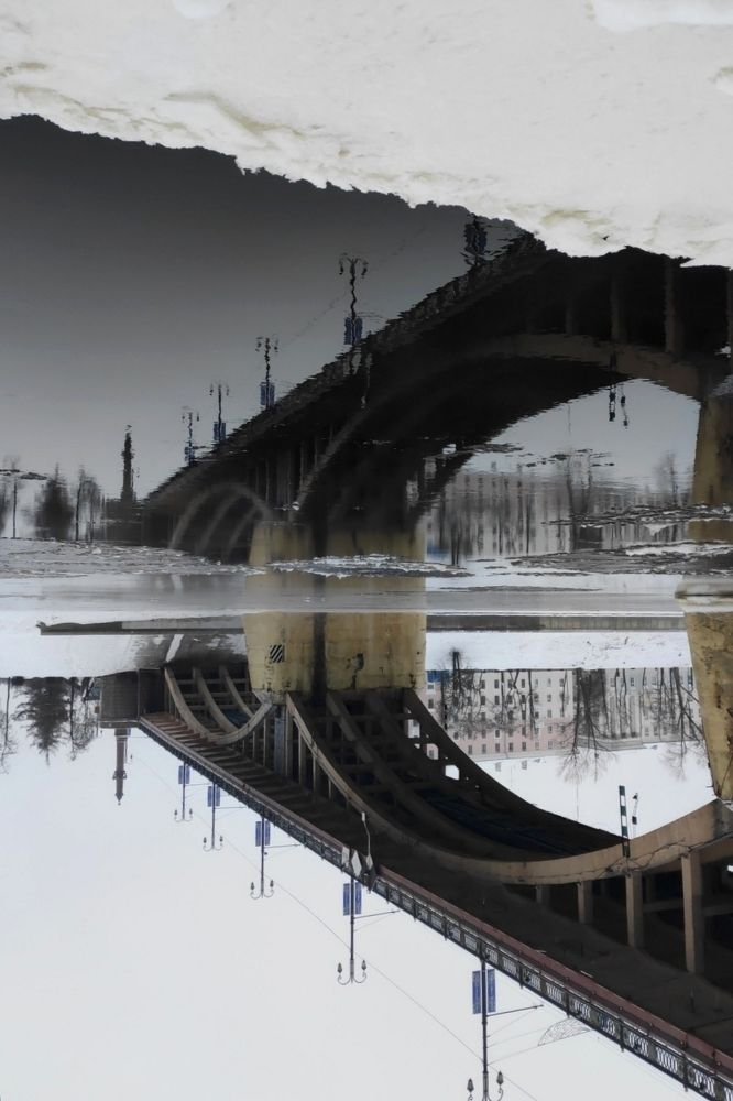 Фотография автора Юлия Шидловская