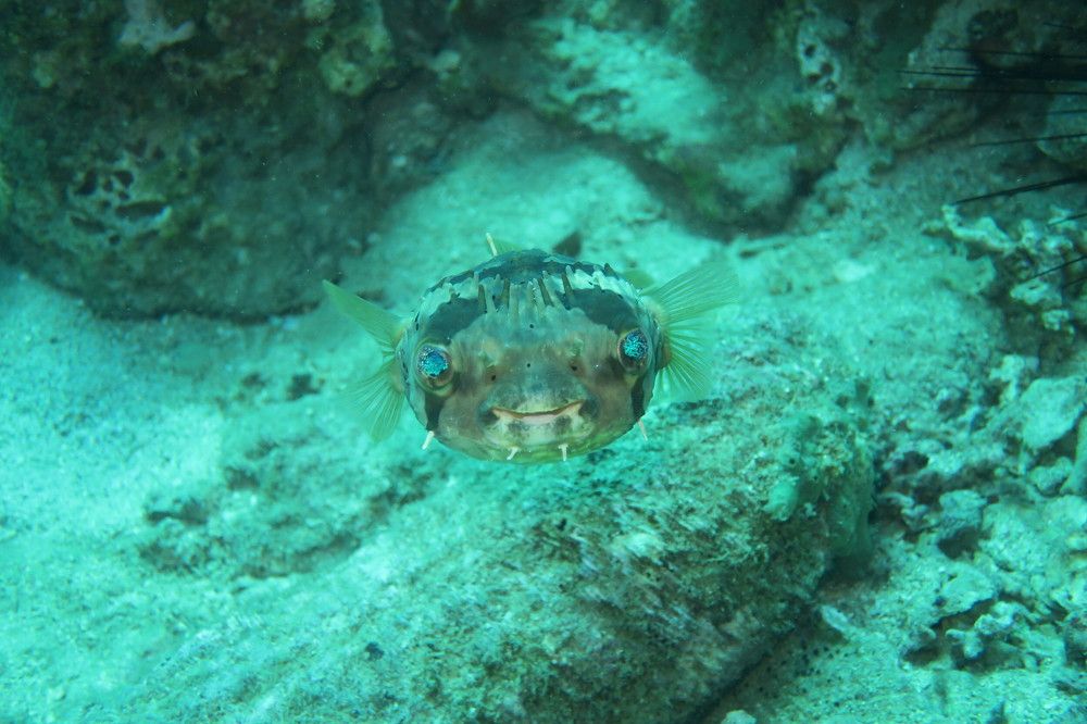 Photograph by Quyen Pham