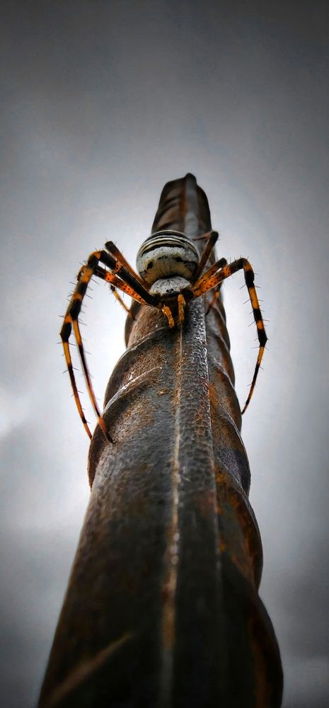 Photograph by Konstantin Martynov