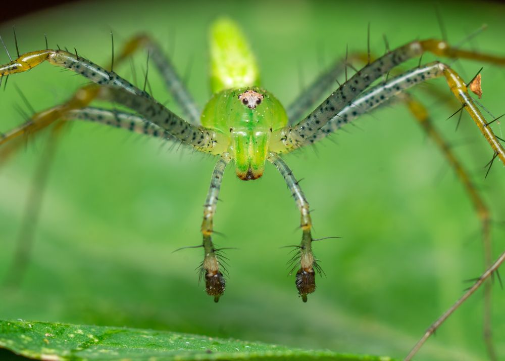 Photograph by Jose Martin Ceja Medina