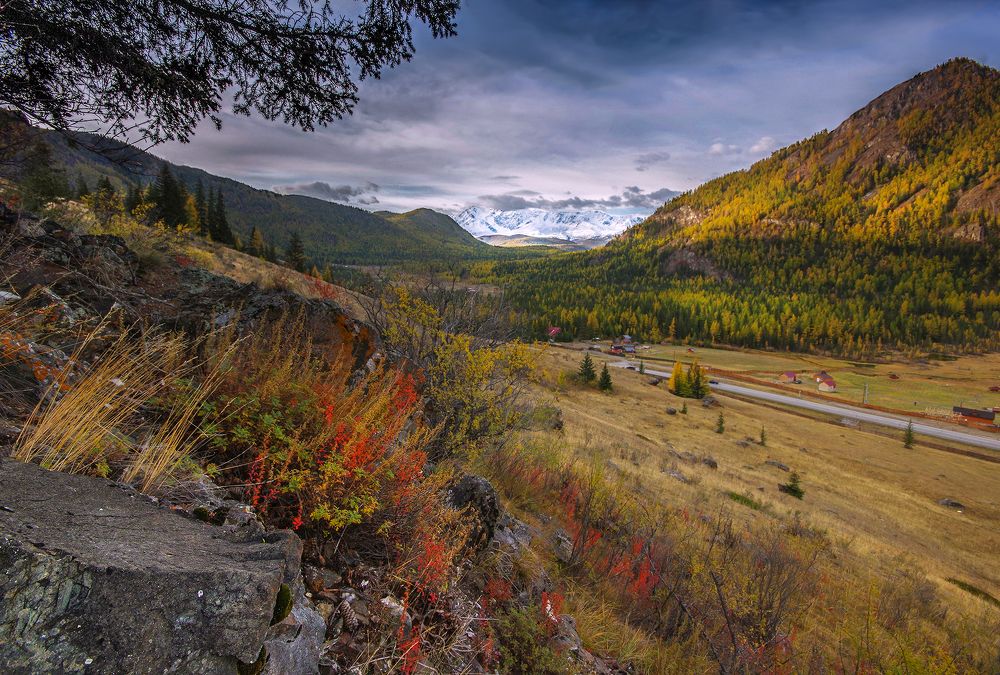 Photograph by Чичкин Валерий