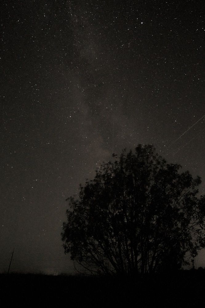 Photograph by Фомочкин Алексей