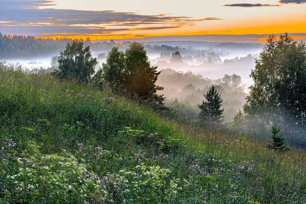 Photograph by Александр Силинский