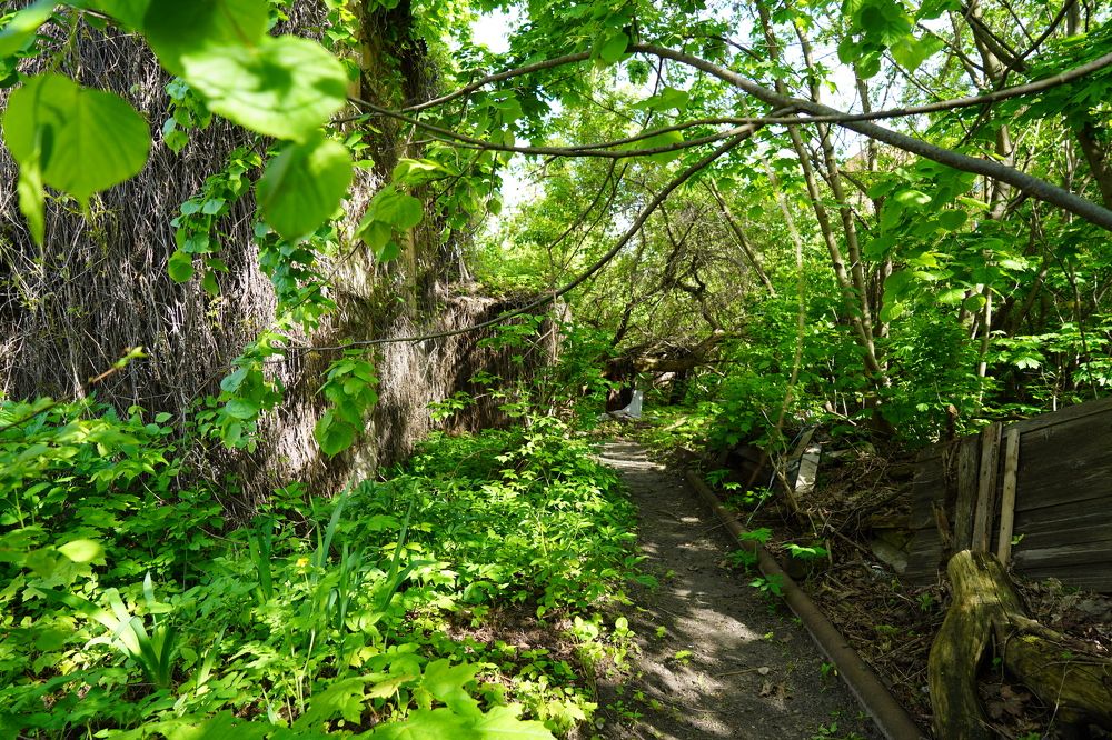 Там на неведомой тропинке