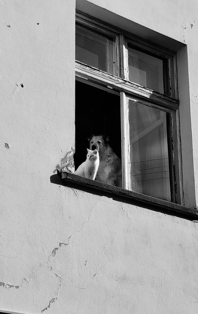 Photograph by Елена Глинская