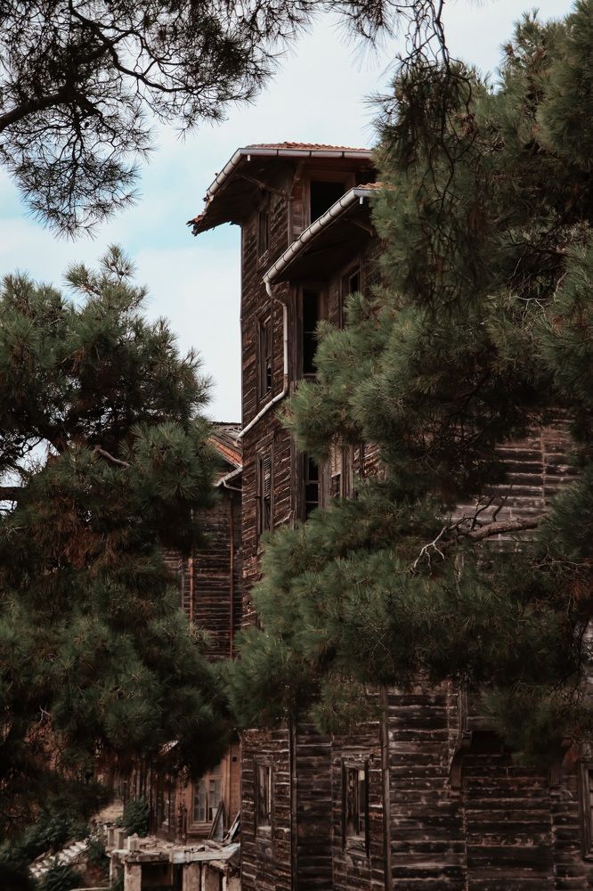 Photograph by Anton Krol