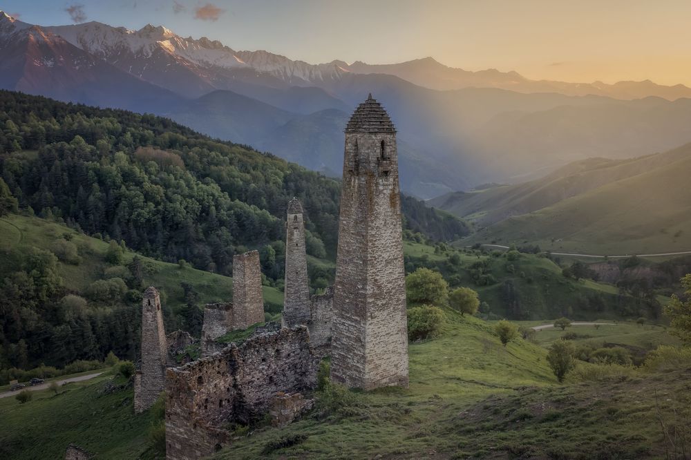 Фотография автора Елена Гусева