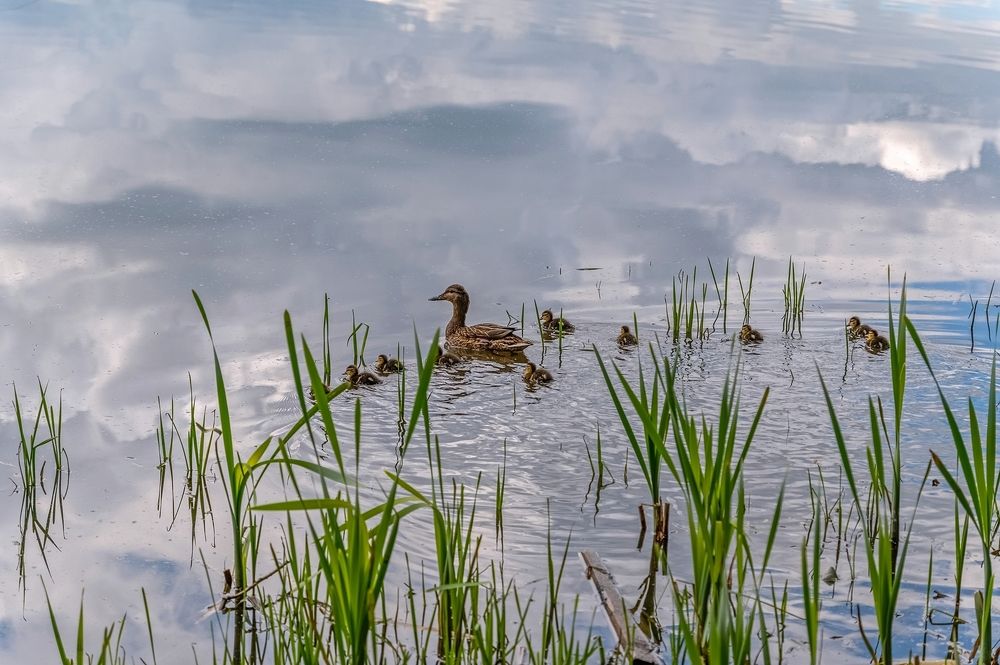 Photograph by Валерий Клейменов