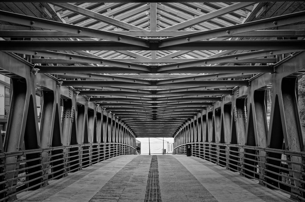 Фотография автора David Solodar