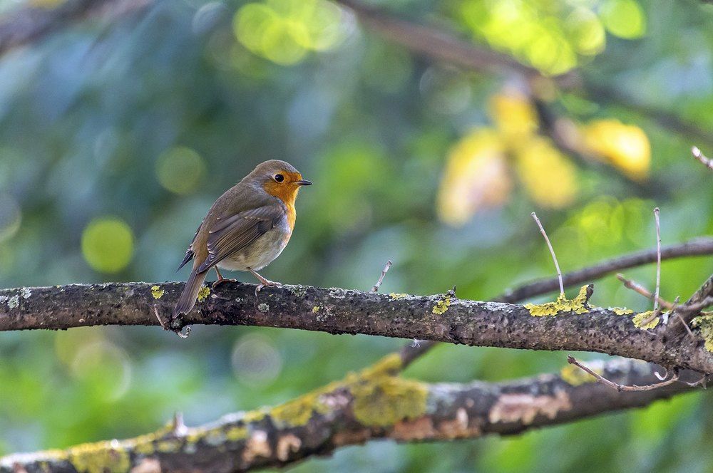 Photograph by Валерий Клейменов