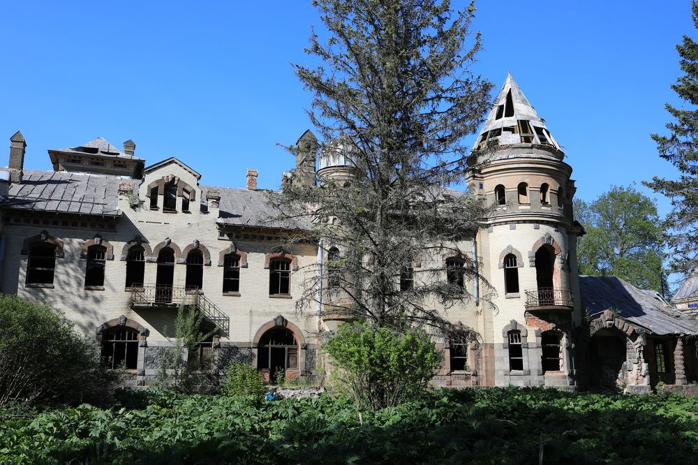 Photograph by Владимир Грибков