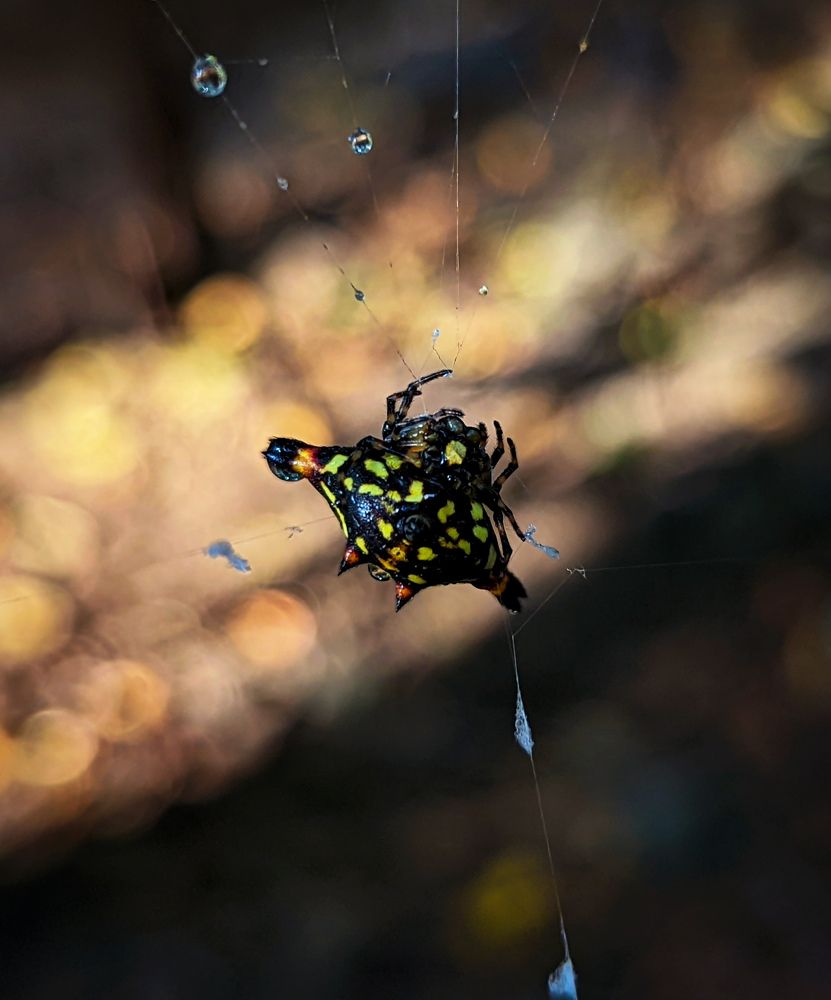 Photograph by SARAVANA MANICKAM