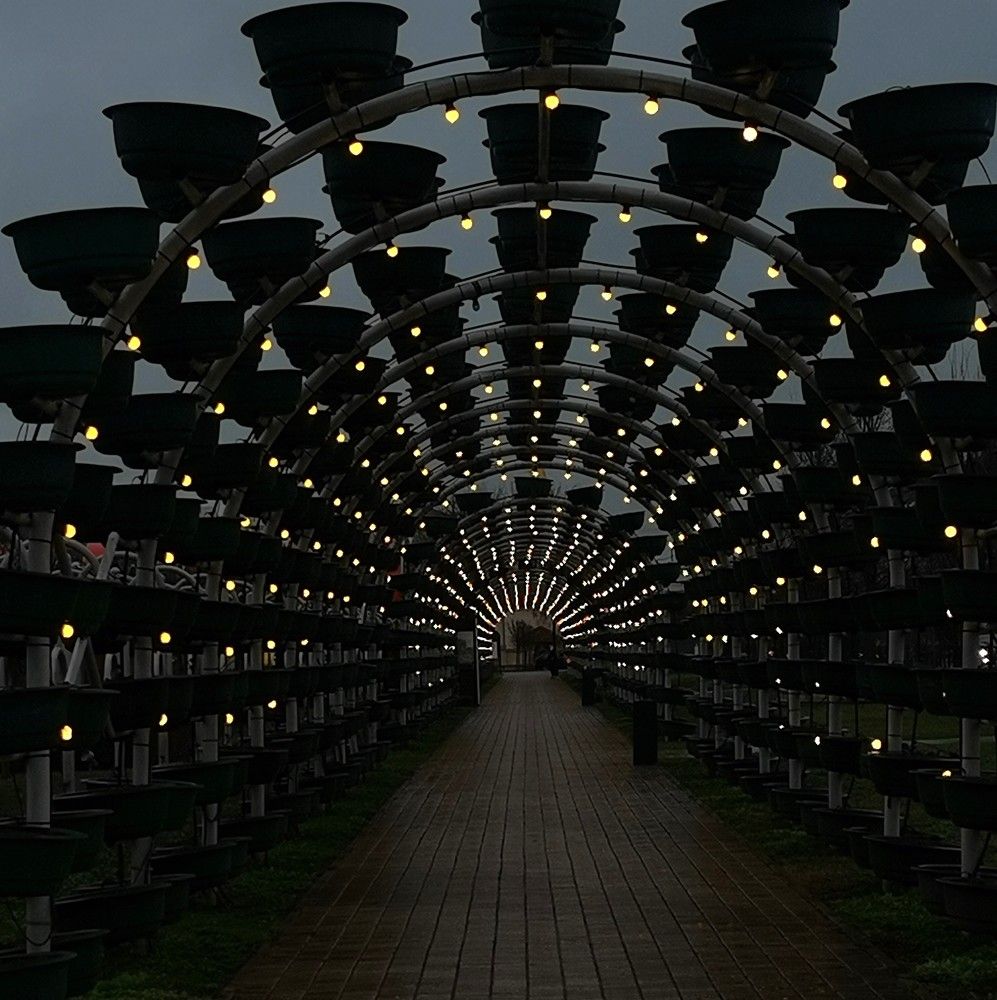 Photograph by Ирина Садовникова