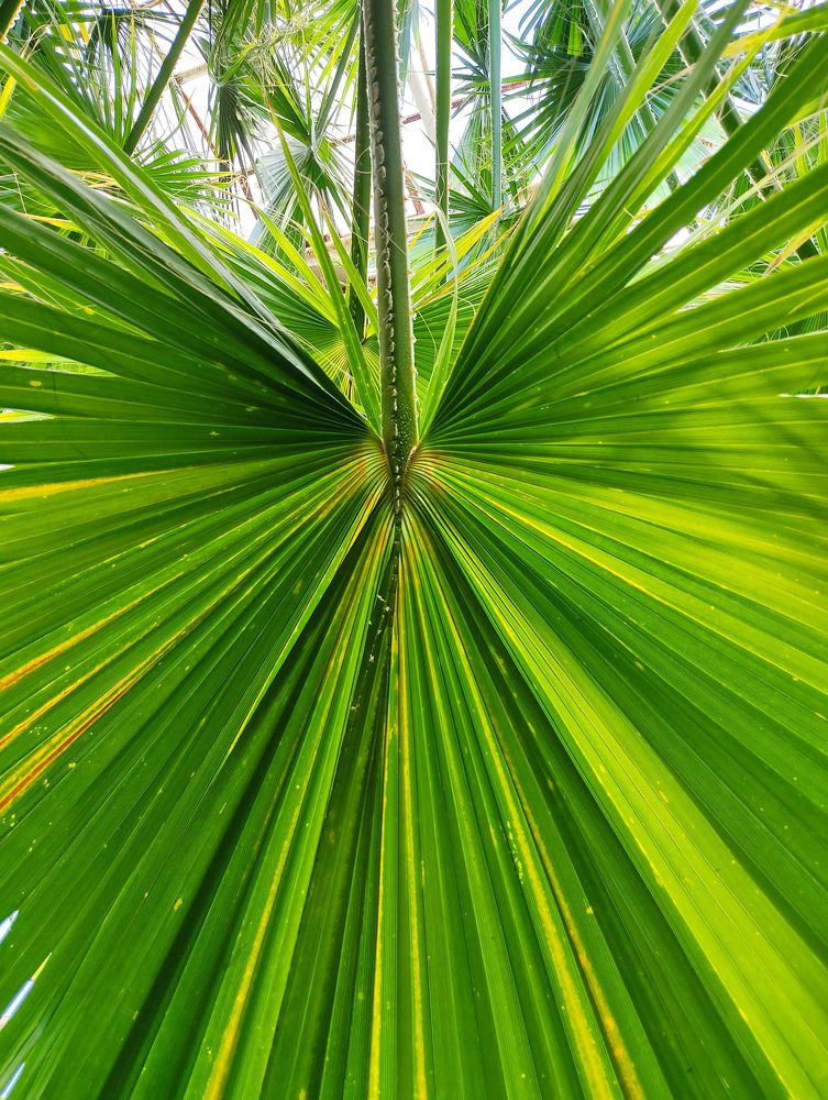 Photograph by Александра